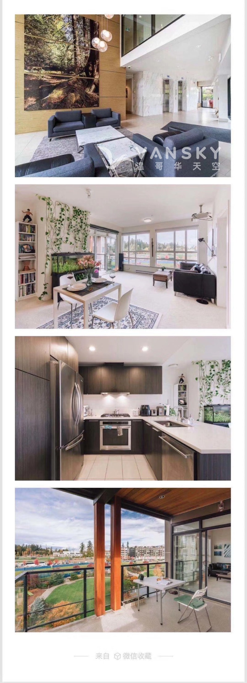 260419203205_WeChat Image_20200420120933.jpg